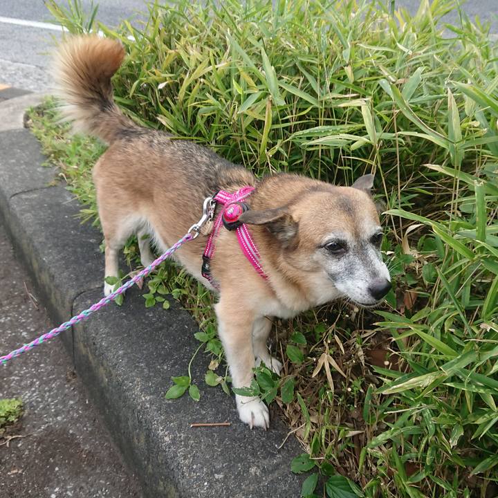 68e88e9c abba 41d1 8adb 4280716456c9