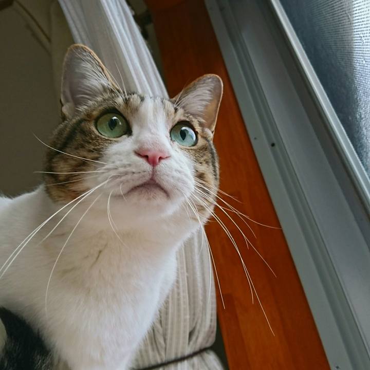 68e90797 d39b 4025 92af cbba57edead1