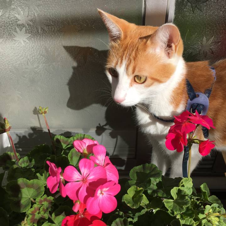 68e9367e 8b80 4ed0 9959 47a0ff764cfd