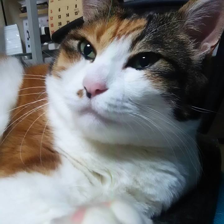 68e972e9 1a1a 442a 83c3 7e8a9bf9aa01