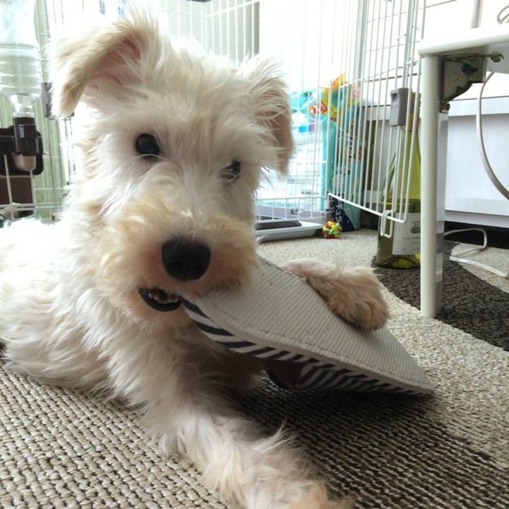 68ea4718 cf37 4cf5 9bec 0c94826e32be