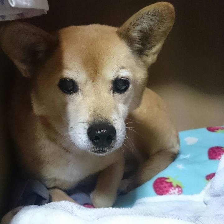 68ea7106 e456 410d 9cea d9af3a0fe84a