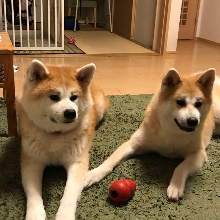 68eac0d2 7581 411e 929c 68e617573252