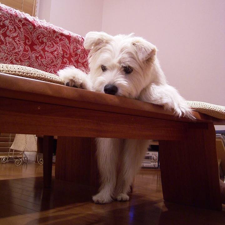 68eaf5da 24cd 42db a895 5b3416e8a3ab