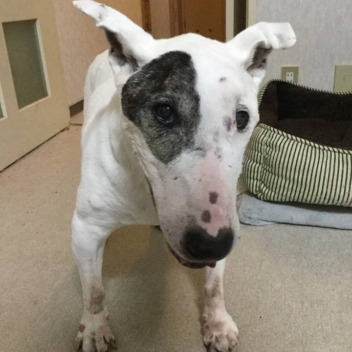 68eb5048 4aae 413d bed6 838d81f68028