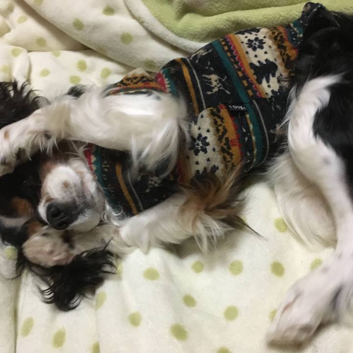 68eb5826 7661 438a 974c bb124411f699