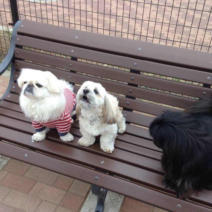 68ebe8c6 0bc6 4c90 9dc8 c0f2f6d14e45