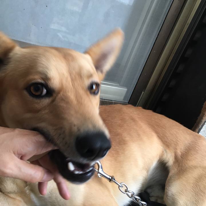 68ebfaa4 d421 42ec 8de1 35d2ea6e624b