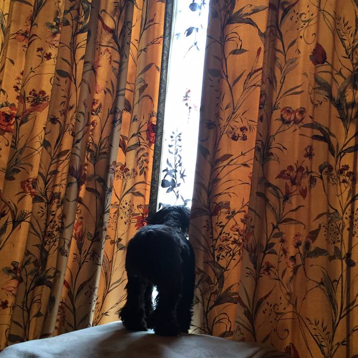 68ec63d7 41b4 4d5e 9012 8572e2f4d64b