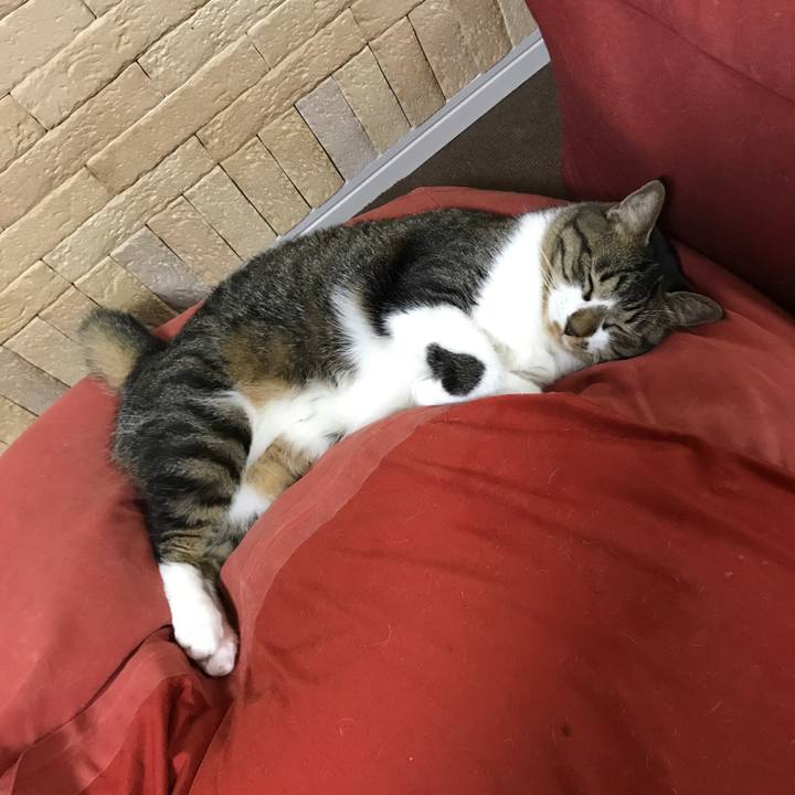 68ed261f 5b8c 4176 9e0d 0a9008a90e41