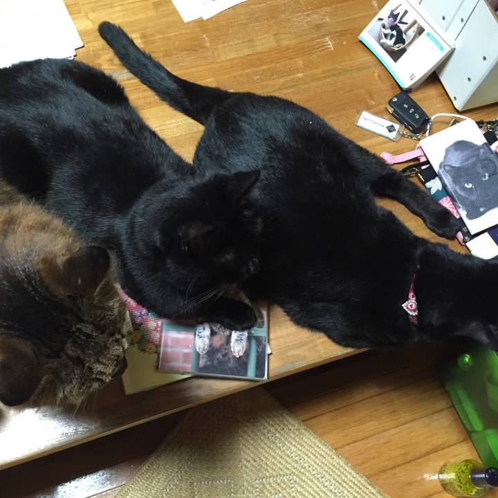 68edebb6 522b 424f 91d1 6bc6a998bcc6