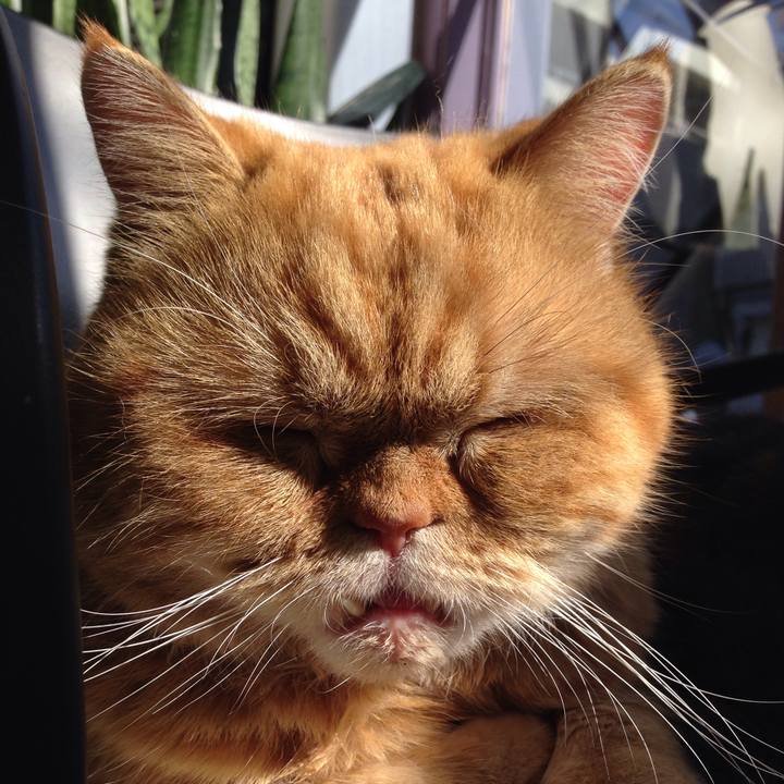 68edee61 5a32 4790 845c 74ab60a97669