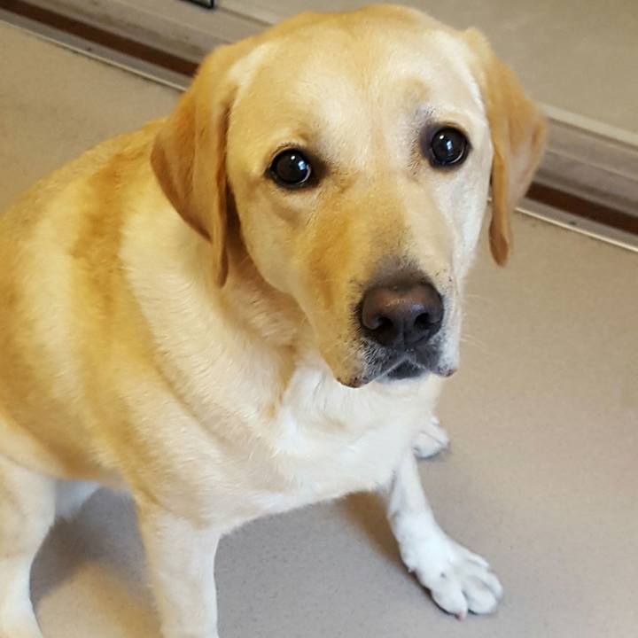 68ee02c4 62df 4ed1 b036 d2677abe4325