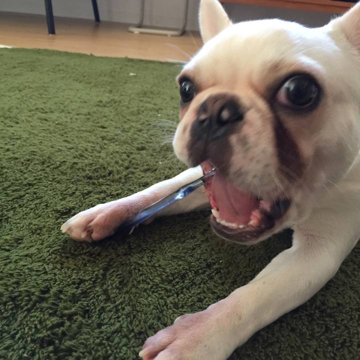 68ee7768 4ff5 431a 967d 57264e9c27ee