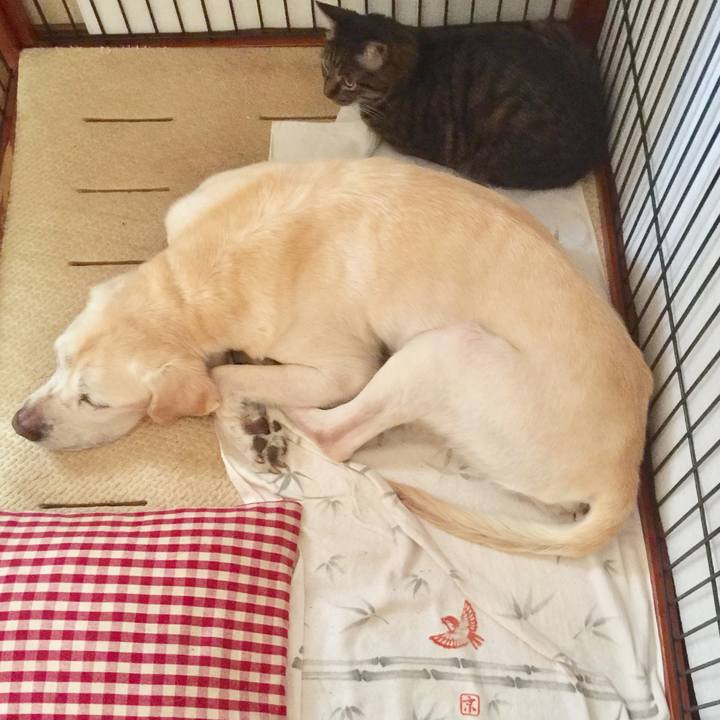 68eed46a 4924 47ac b1bf 18b0e6dfc11c