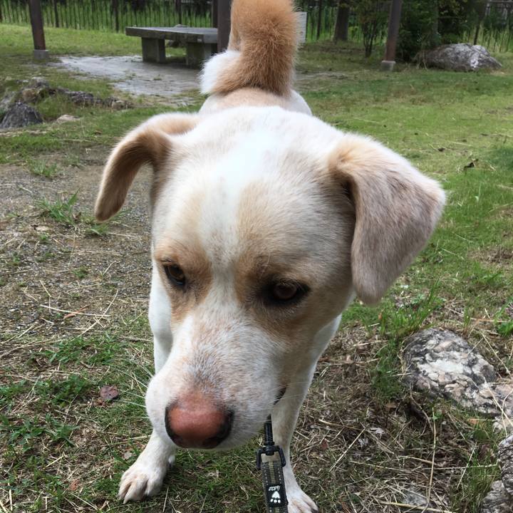 68ef3041 af36 46c9 9893 e08d0e5e125d