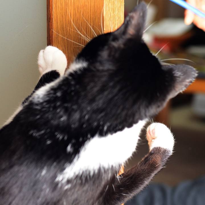 68ef9db1 de6d 43c9 9f83 771048a02d11