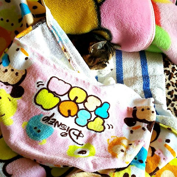 68effcf0 b8f7 4063 a2fb f952aa33b5cf