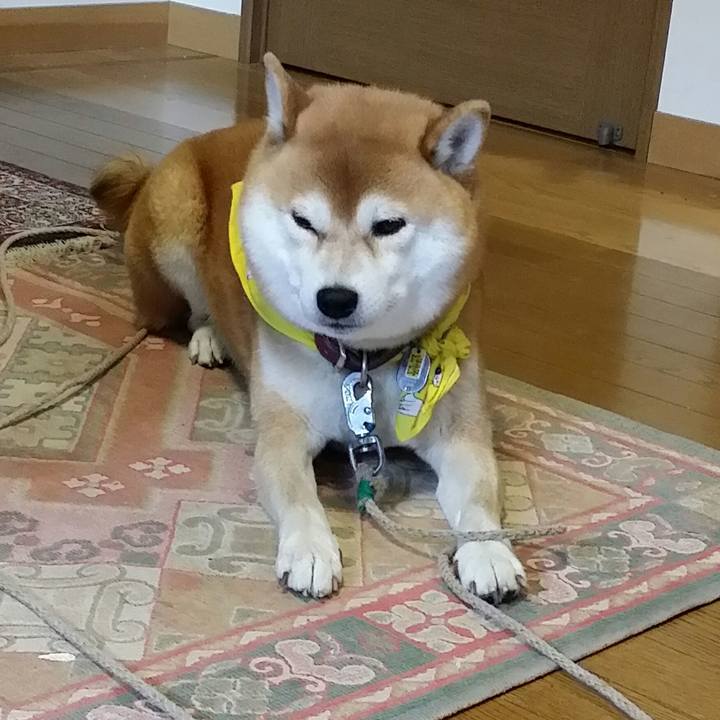 68f004b3 fe9f 44de 89ae e2f8255c5ff7