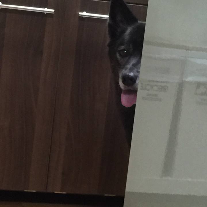 68f213f7 e1d5 45ae af53 1100ff0f33b8