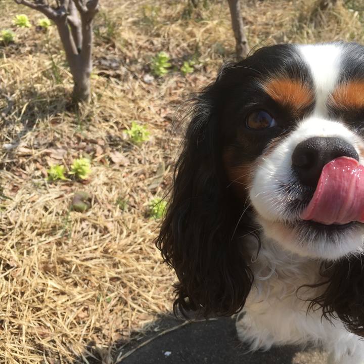 68f26233 7443 43d3 b4da 61594e1631ad