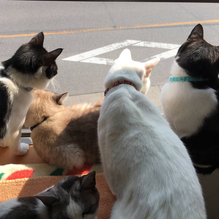 68f2dea6 0837 40a9 853d 17d1e1f86189