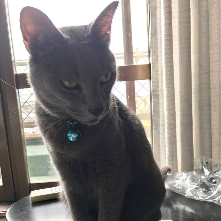 68f36ab8 0c55 43be bd12 8b701be0e410