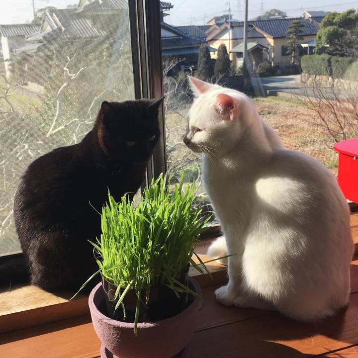 68f57cbe 4365 4fbf 94c4 4315f052660d