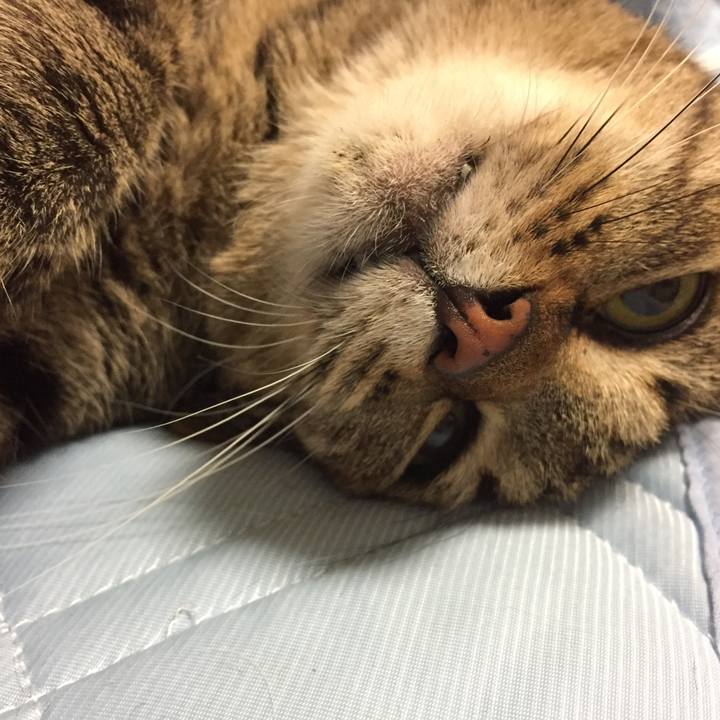 68f6c876 1dfa 4dd1 8851 e04d12d55e2c