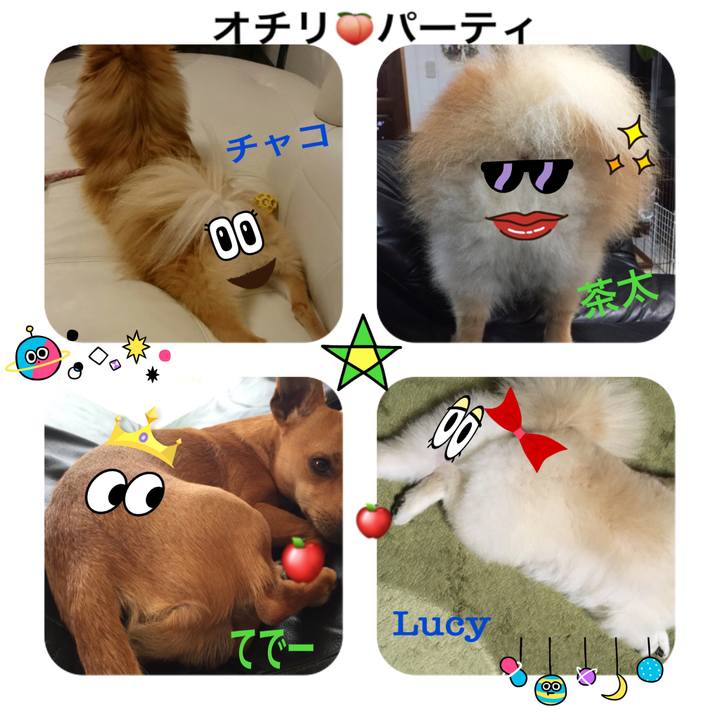 68f70c68 fdec 4ccc 9038 cf1076c9546c