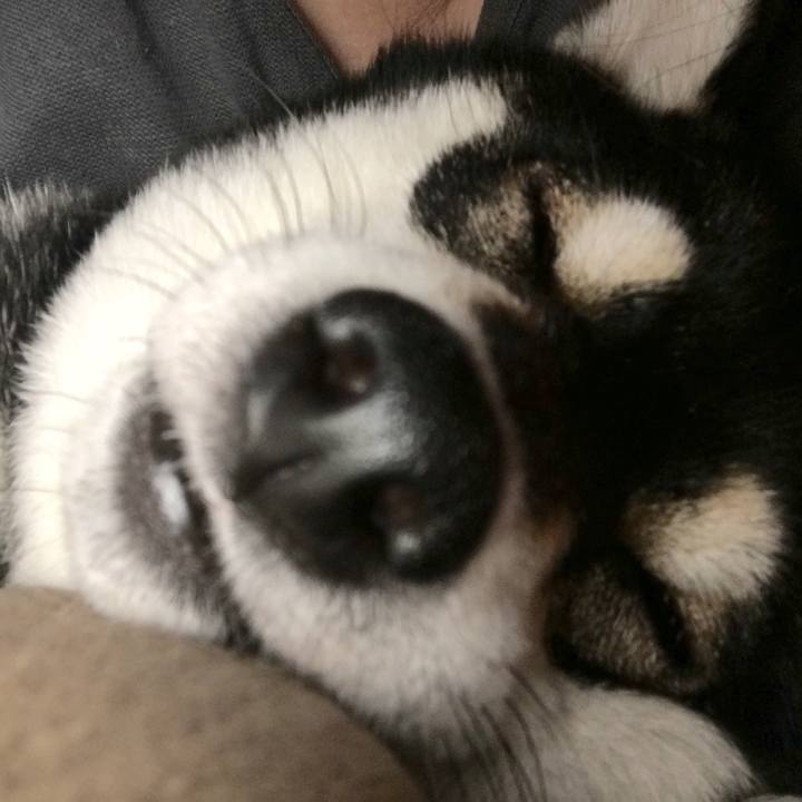 68f8c377 a411 4592 8a05 c5b564845136