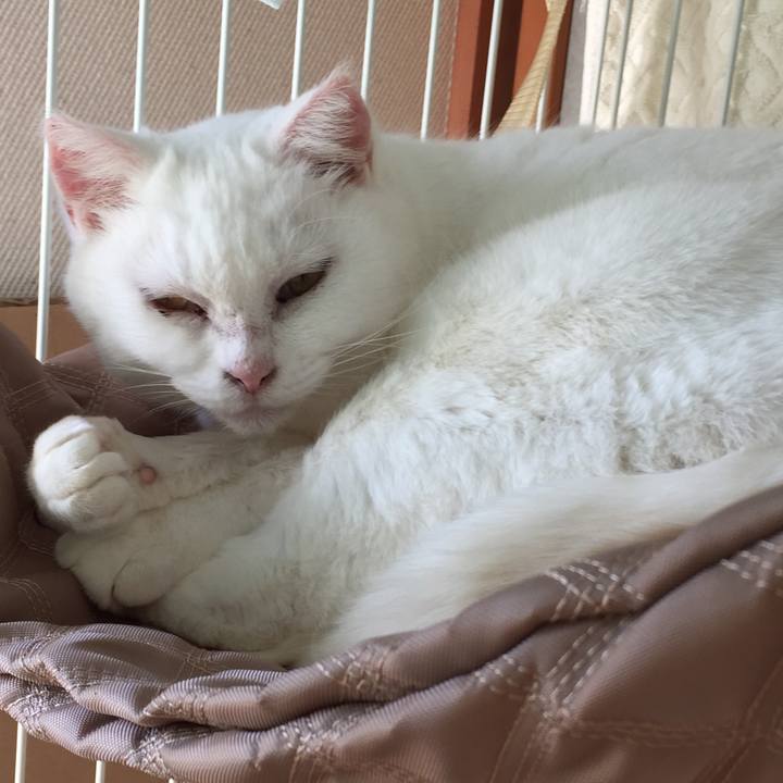 68f8cbcd 9bae 4b85 a3fb 5e6cf8478db1