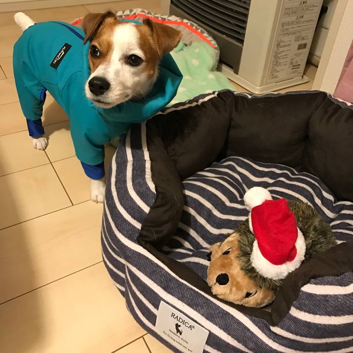 68f8e0d7 8462 4474 ae20 b0f2452d2b68