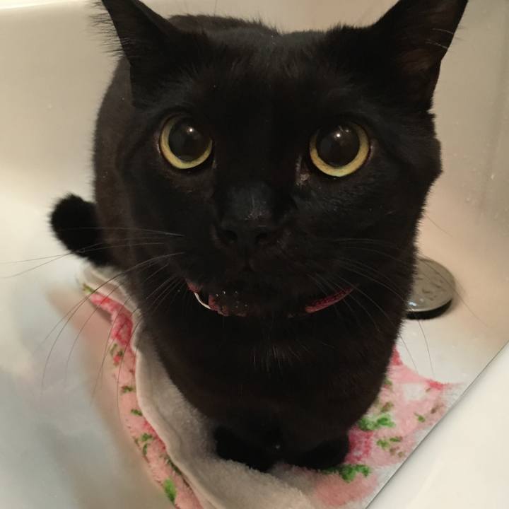 68f948f4 94c6 47ae 9ba7 09fdfc72da4c