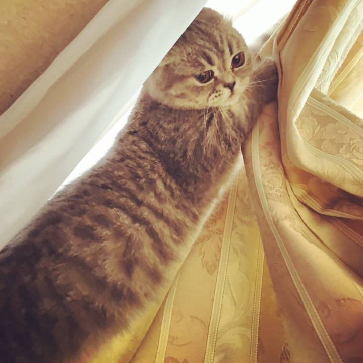 68fa792f 9b11 43a2 9170 24b8da7e2788