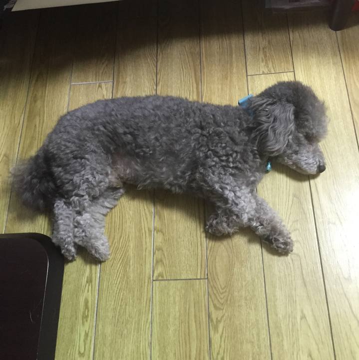 68fa83c7 ed79 4125 aa94 c5a6bc0e63de