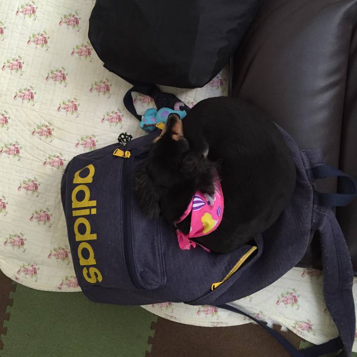 68fa8ed0 be59 411c aeba ba97eaf424ac