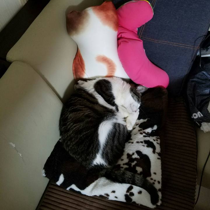 68fad511 9854 4b7b 8729 bbed12b30a91