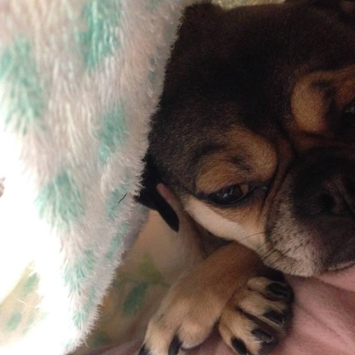 68fb2b77 7241 4a7e 89dc 89cde4296dda