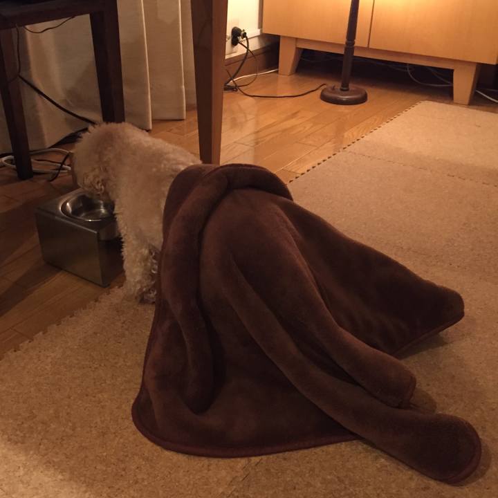 68fbf223 2dd6 4584 b33e 160a6df8ce5a