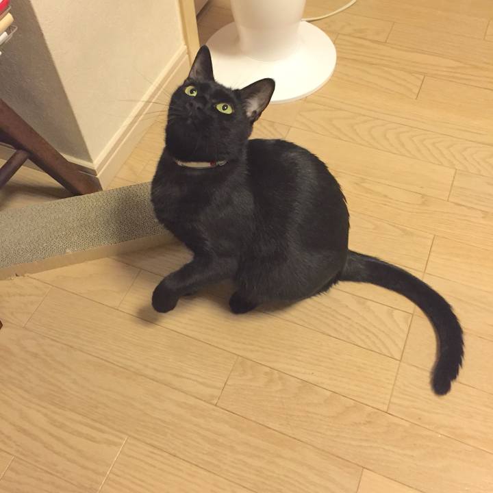 68fbffcb 0c21 4354 9a82 31654de9a108