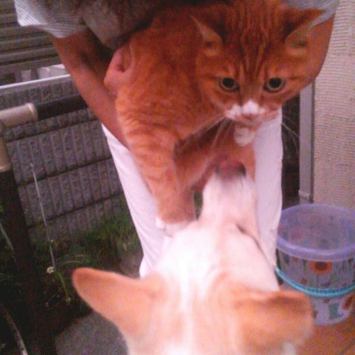 68fc67df 25f3 49fe 9168 20e3c81fe5c6