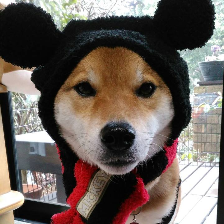 68fcfb90 b67c 421a 95a8 fd3e3cfec945