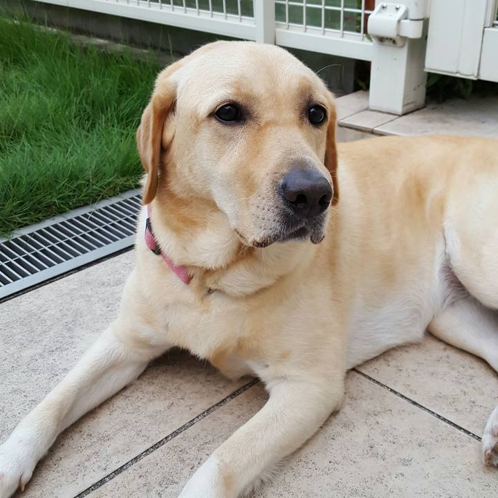 68fd5a13 b780 4238 a893 386a2347adbf