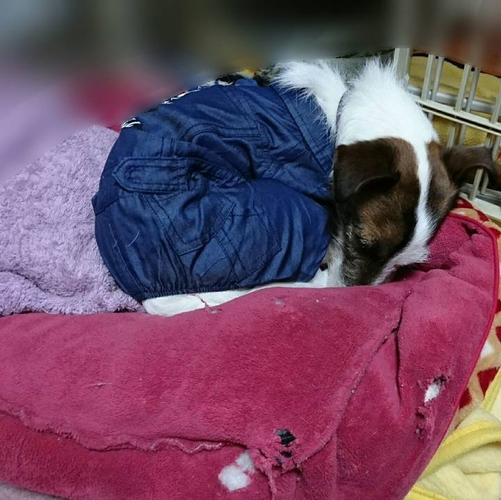 68fda88b d8ae 4116 a6af 06e677ec3e40