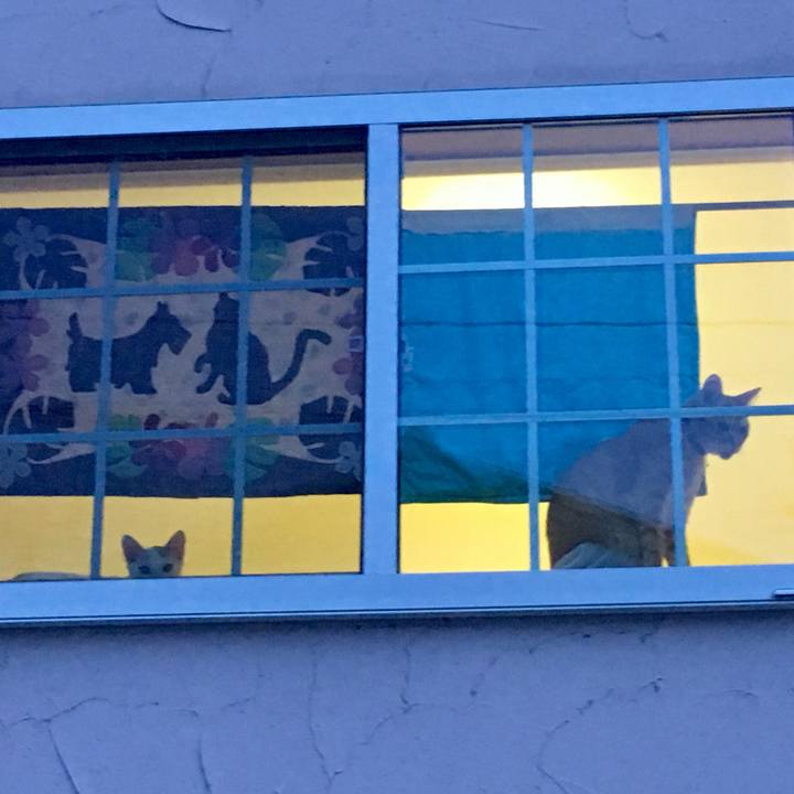 68fe01fe 0139 4adf adec 3ffdd972a6a5