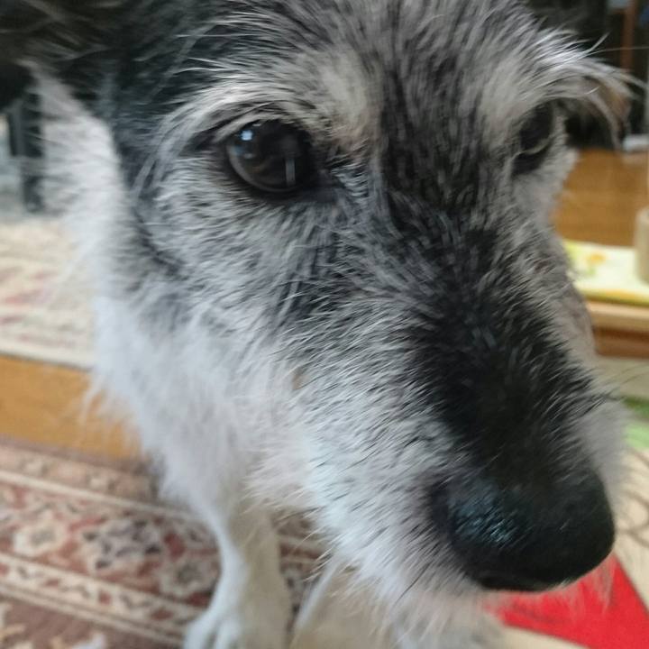 68fe5119 e000 424f 9b7e cf251feb23fd