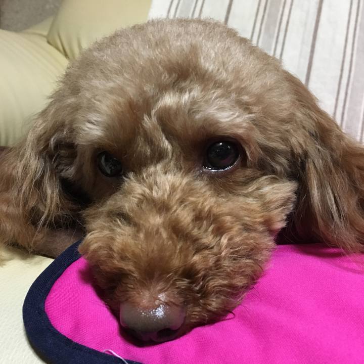 68feb750 04fb 49b1 b16d e1e4851c9bc4