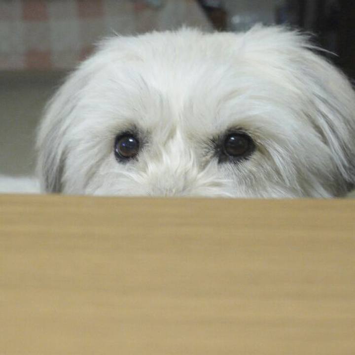 68fed5d7 ca20 4e47 8d20 89ad27200188