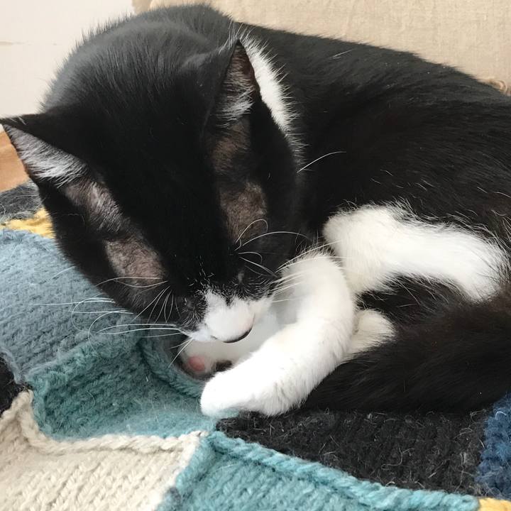 68ff4b33 68a5 41bf 9525 a31e9b7f0158